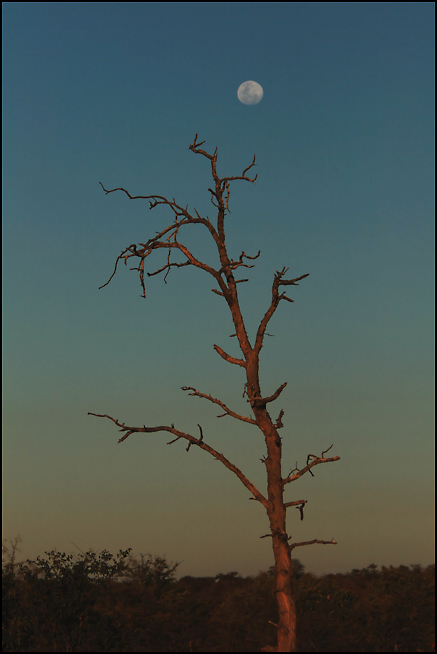 Reaching