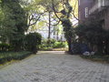 Central Park view.JPG