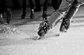 DSC_4061.jpg