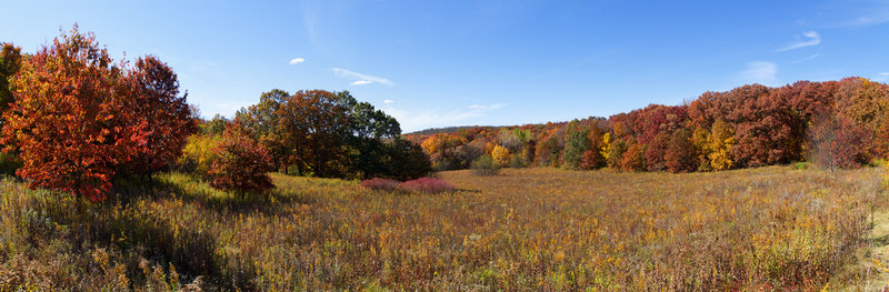 Autumn on the Ice Age