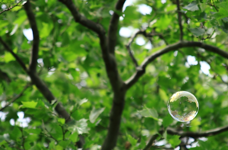 Bubble in the park