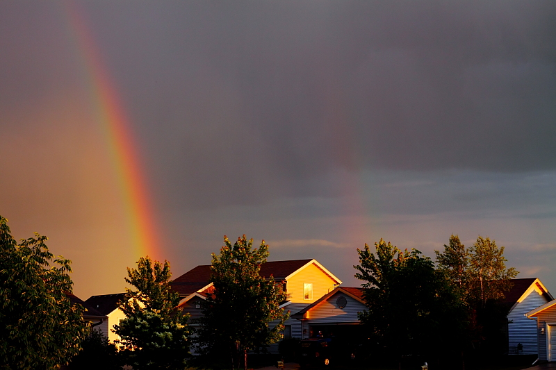 Rainbow over Suburbia