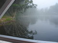 Dewy Spider Web