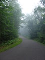 One Foggy Morning