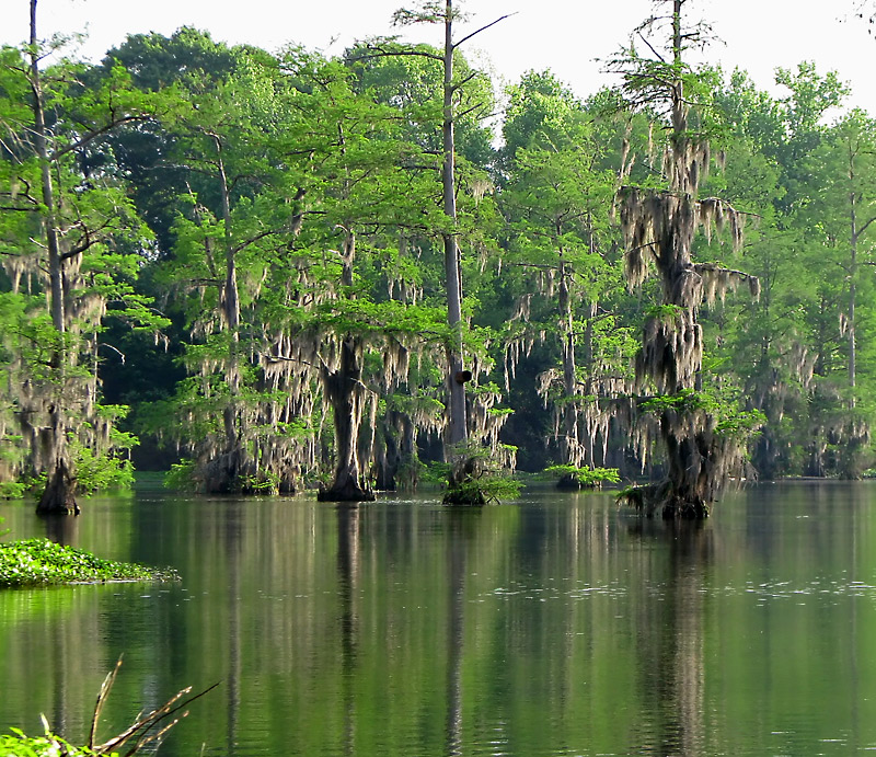 Flag Lake by dbordelon - DPChallenge