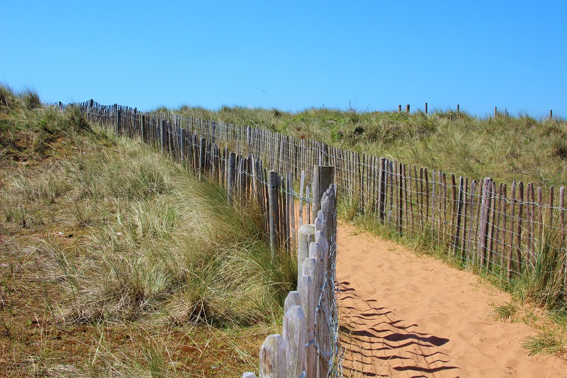 Dawlish Sanddunes (1)