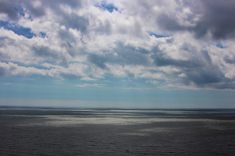 Out to Sea