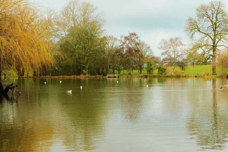 Pitteville Lake