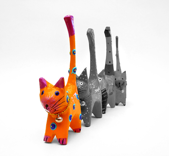 The cat line up sel dest