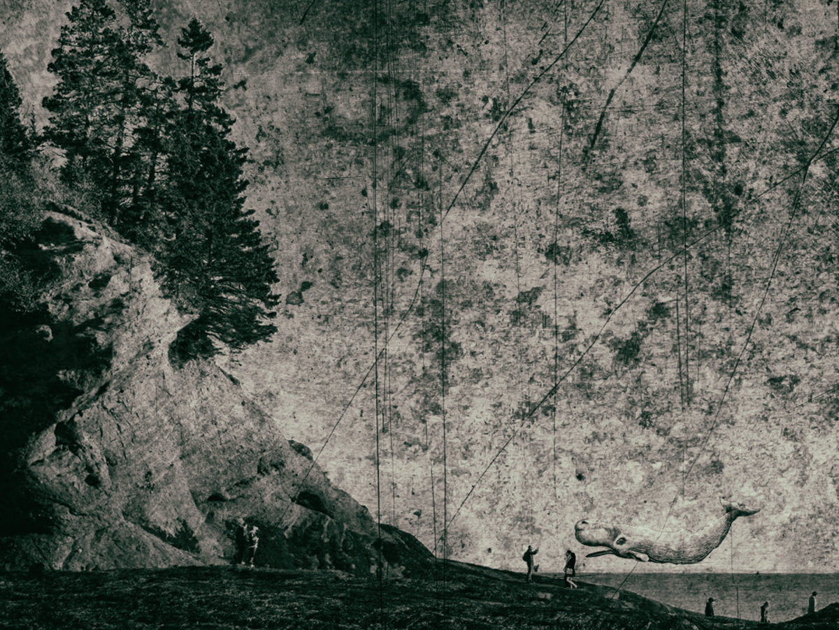 Melville Dreams [Lydia]