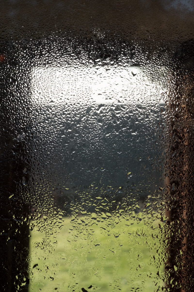 Texture 2