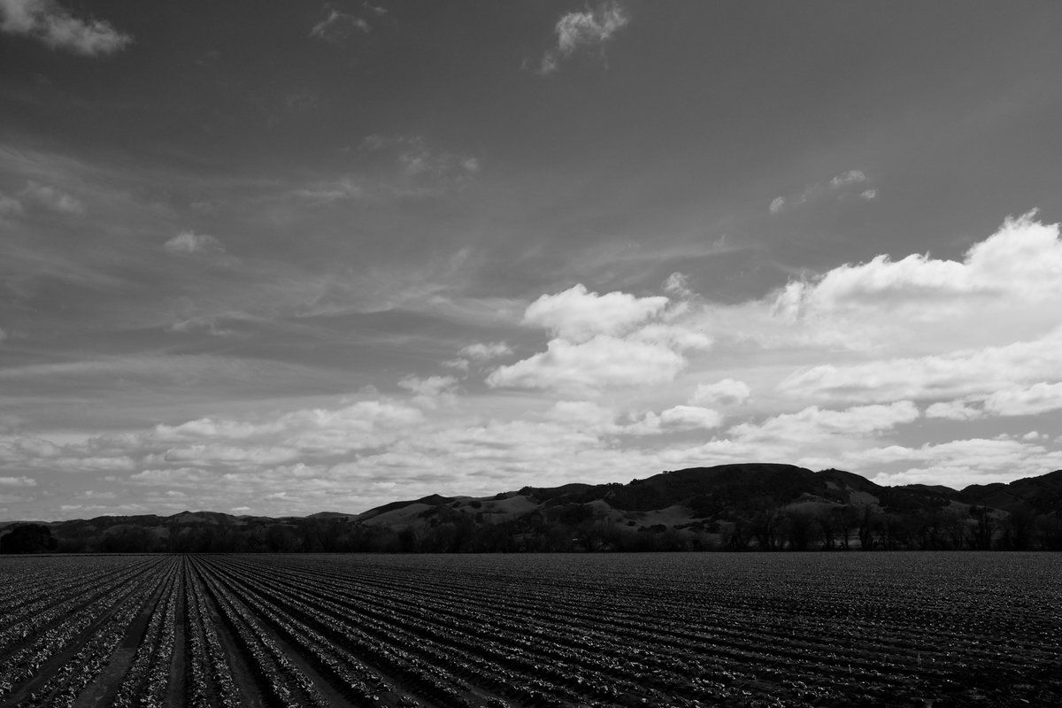 Central Coast Agriculture