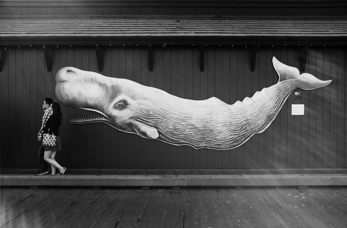 SB Wharf - Moby Dick's