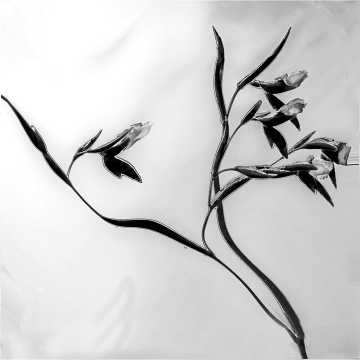 Crystal Flowers