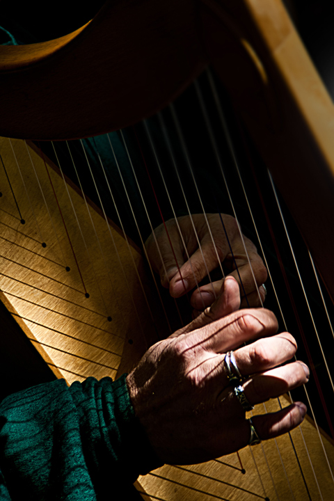 The Harpist