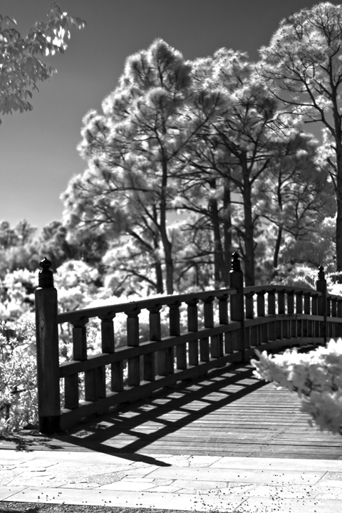 Morikami-Bridge