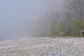 Lost in the fog