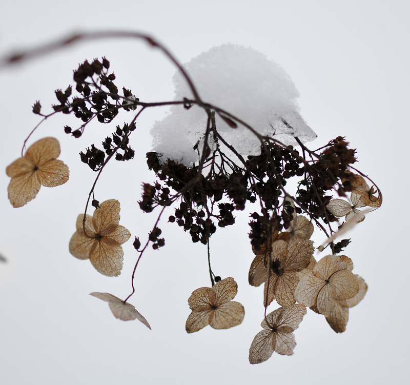 Hanging on