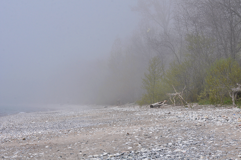 Lost in the fog