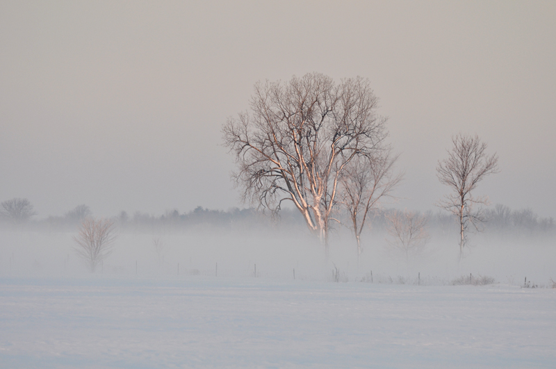 Morning glow