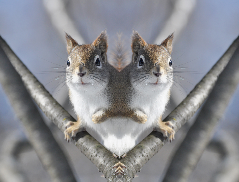 There's a nut...There's a nut