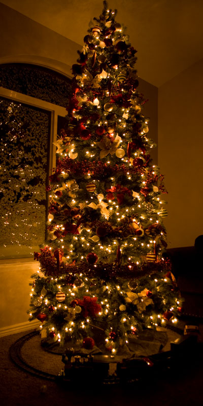 My Christmas Tree