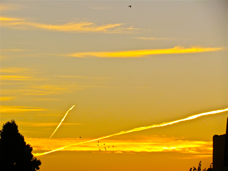Con Trails