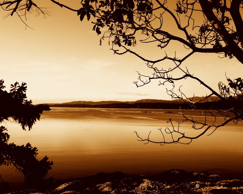 galiano1.JPG