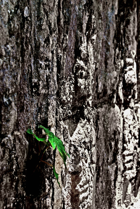 life begins