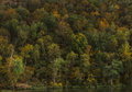 Evening on the shores of Taneycomo 
