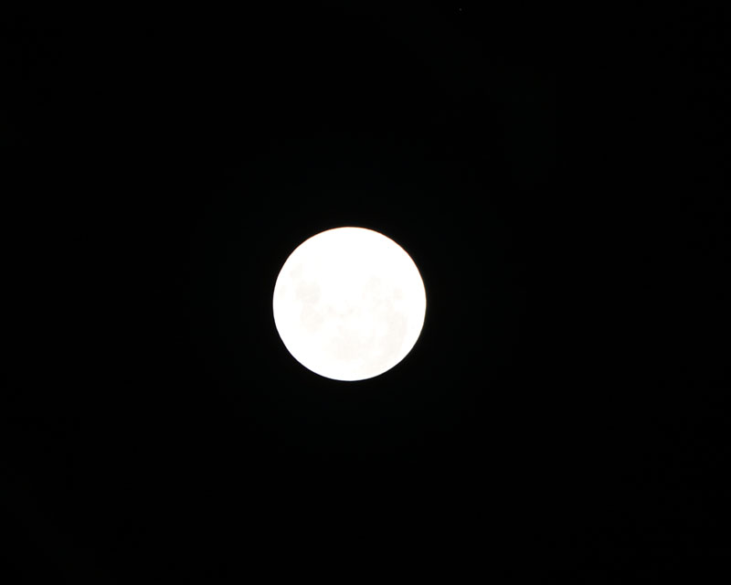 MOON