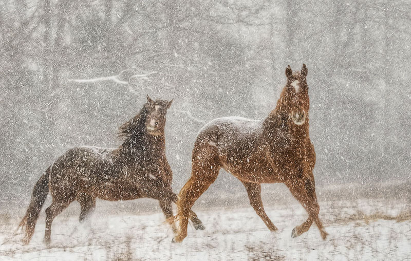 First Blizzard
