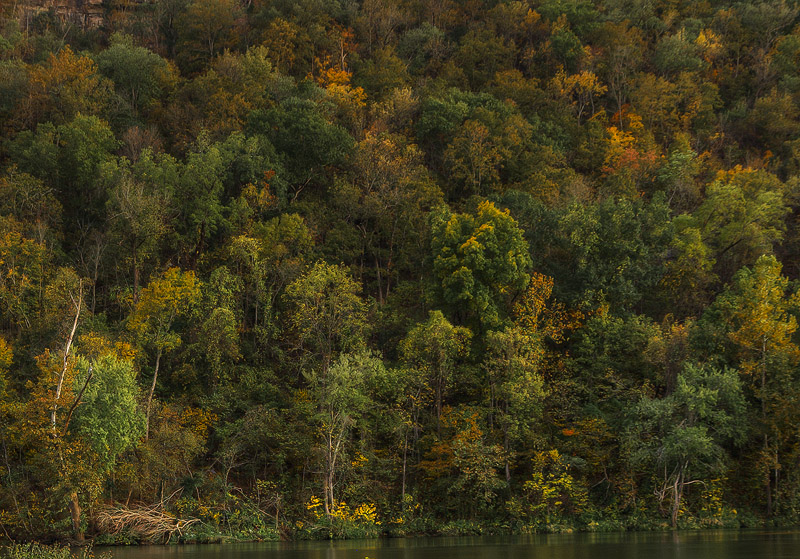 Evening on the shores of Taneycomo 