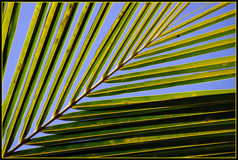 Sky and stripes...