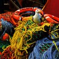 061409_3795 copy