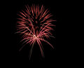 July 4th 2010 115
