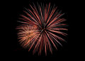 July 4th 2010 111