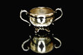 silver2