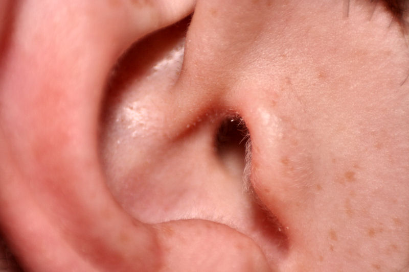ear