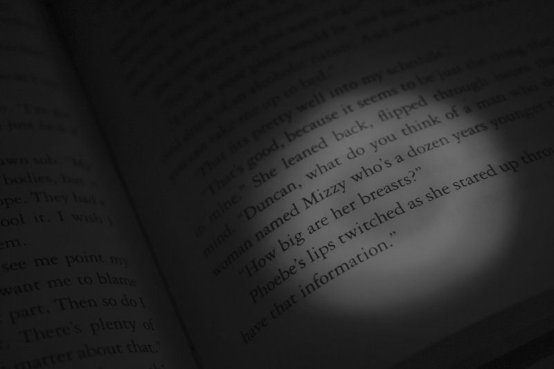 book 2066