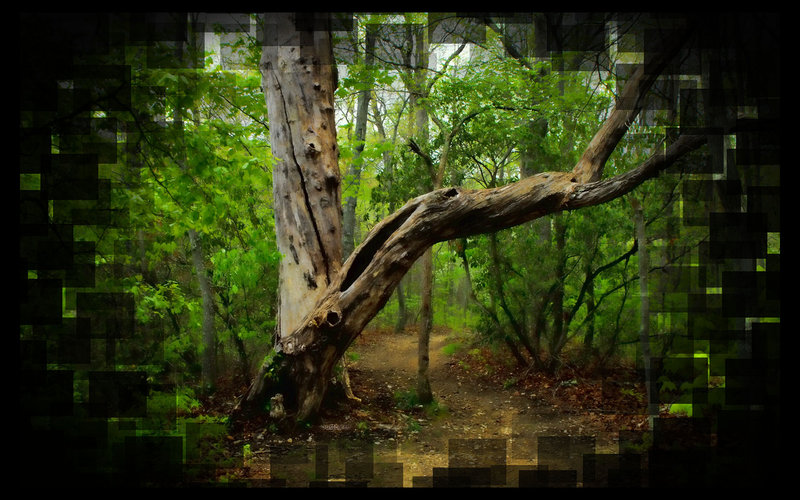 creepytree