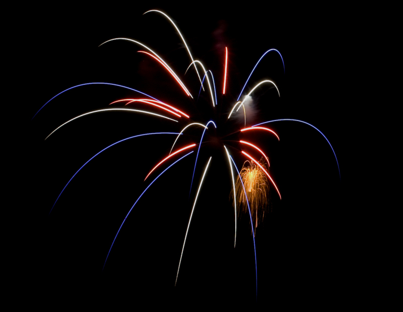July 4th 2010 106