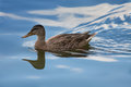 Mind If I Swim Through Your Sky?