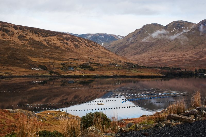 Killary Fjord