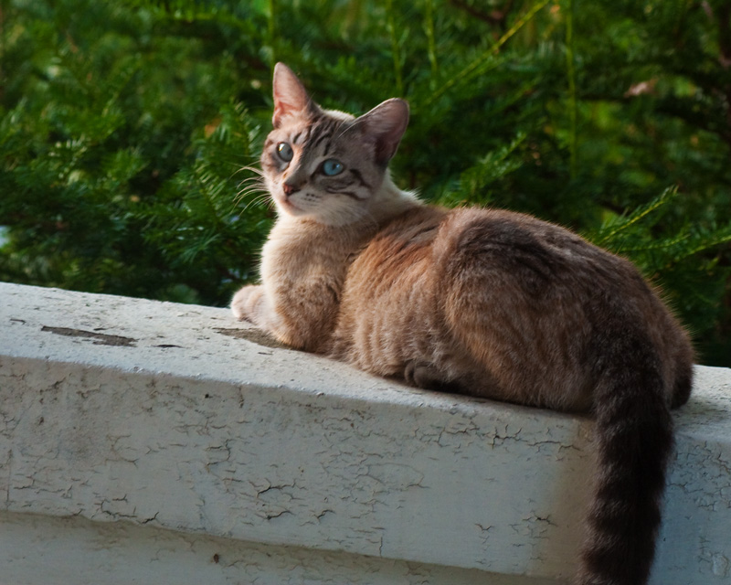 Oh - you saw me...