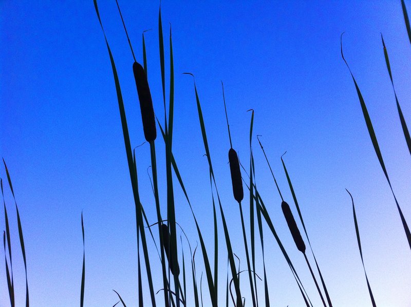 sky and sillouhette