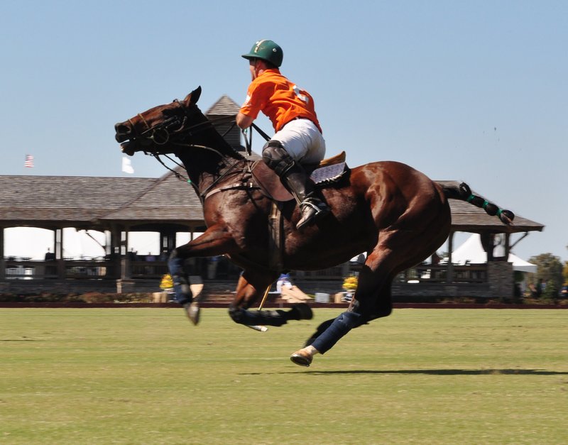 Polo_2010_1126