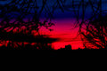 Sunset January 3, 2011 2