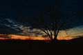 sunset 1-29-11 3 