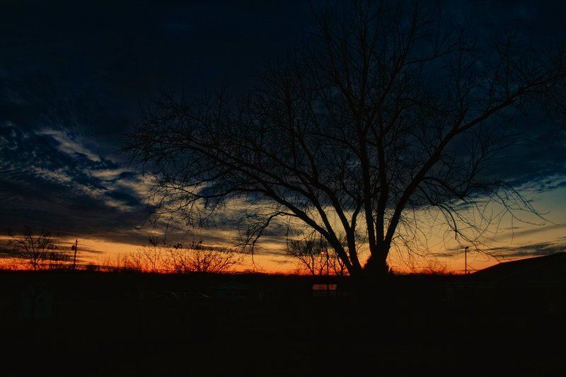 sunset 1-29-11 3 